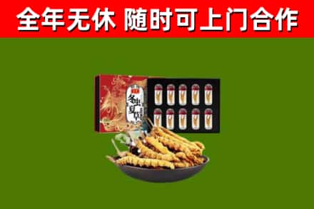 平顺县回收冬虫夏草价格