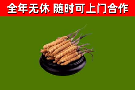 平顺县烟酒回收冬虫夏草.jpg
