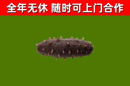 平顺县烟酒回收干海参.jpg